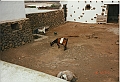 Lanzarote1997-098